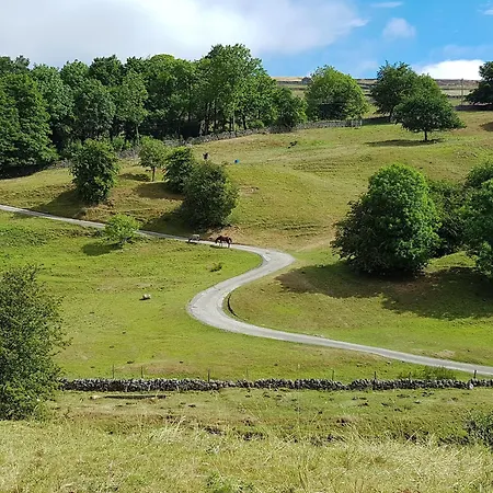 Poppy Дом отдыха *